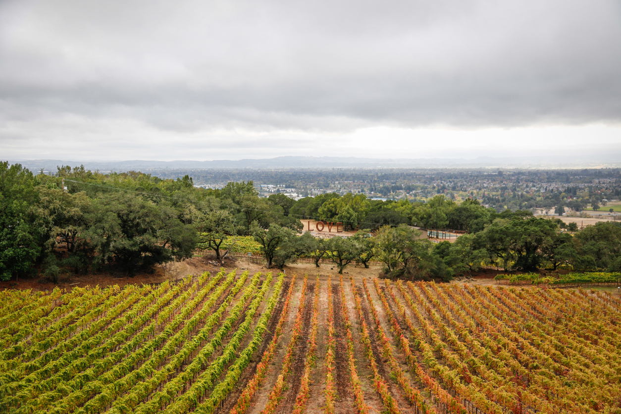 Panoramic Image of Santa Rosa, California